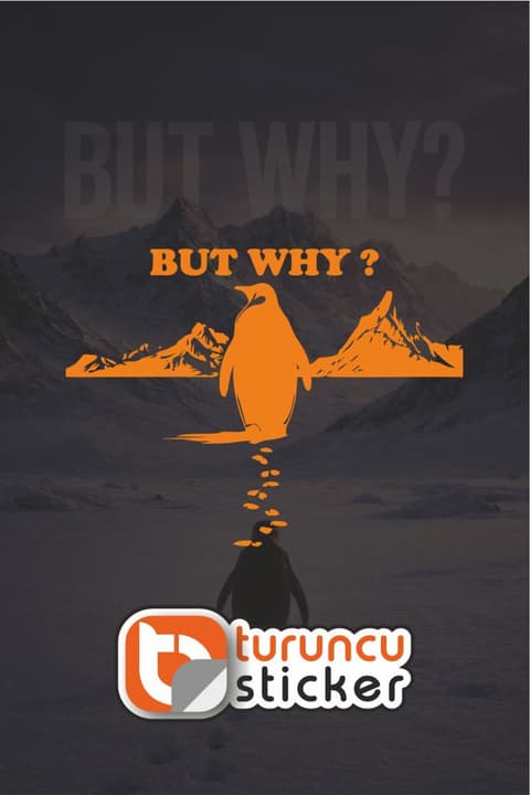 Nihilist Penguen BUT WHY ? Sticker Etiket 20x15 cm – Araç – Motor – Laptop - Kask Etiket Sticker