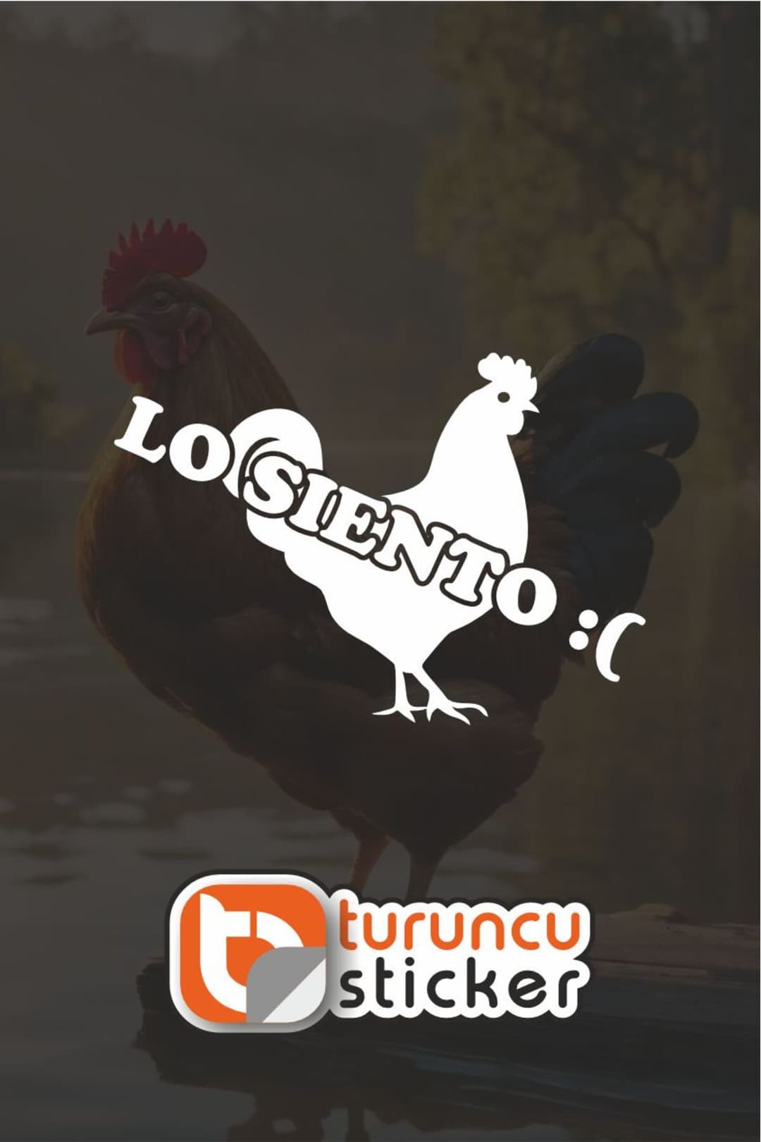 LO SIENTO :( WİLSOON... Sticker Etiket 20x14 cm – Araç – Motor – Laptop - Kask Etiket Sticker